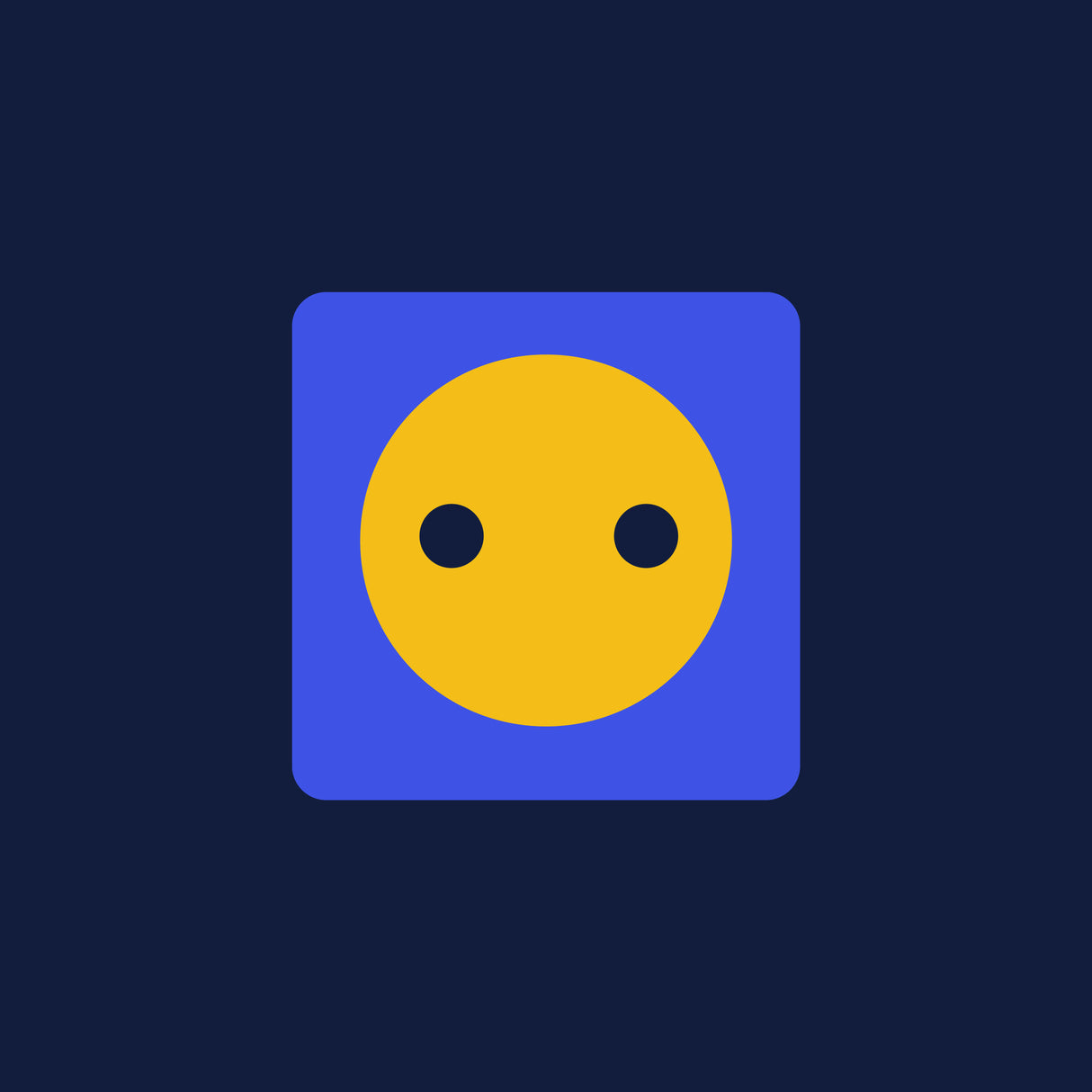 Power Cord Plug Type