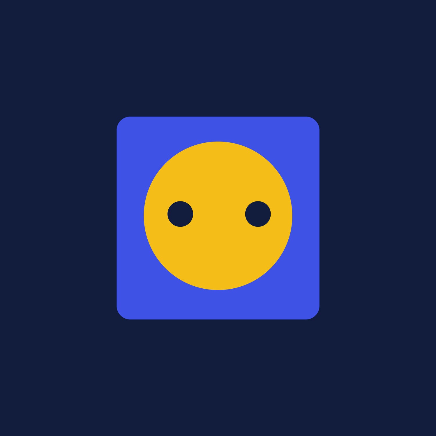 Power Cord Plug Type