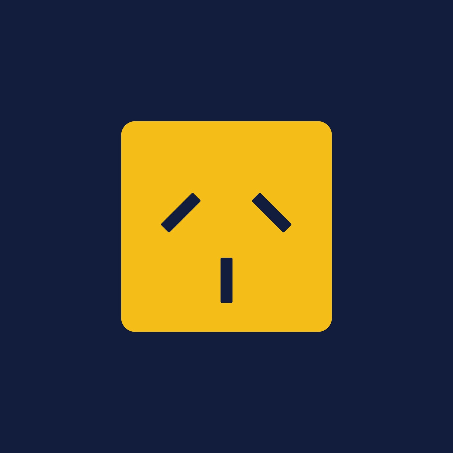 Power Cord Plug Type